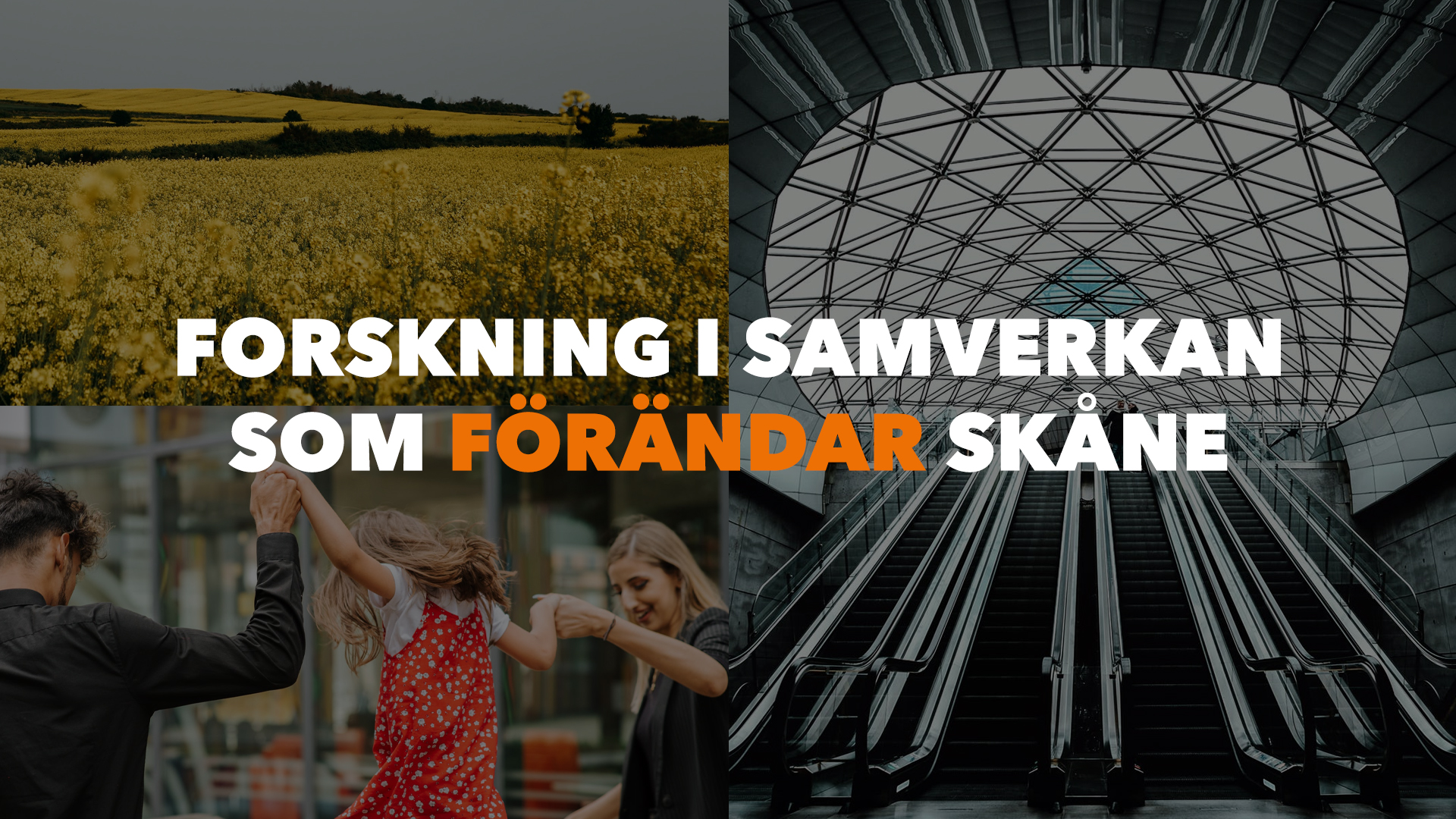 Bannerbild för Forskning i samverkan som förändrar Skåne med rapsfält, Triangelnstationen i Malmö