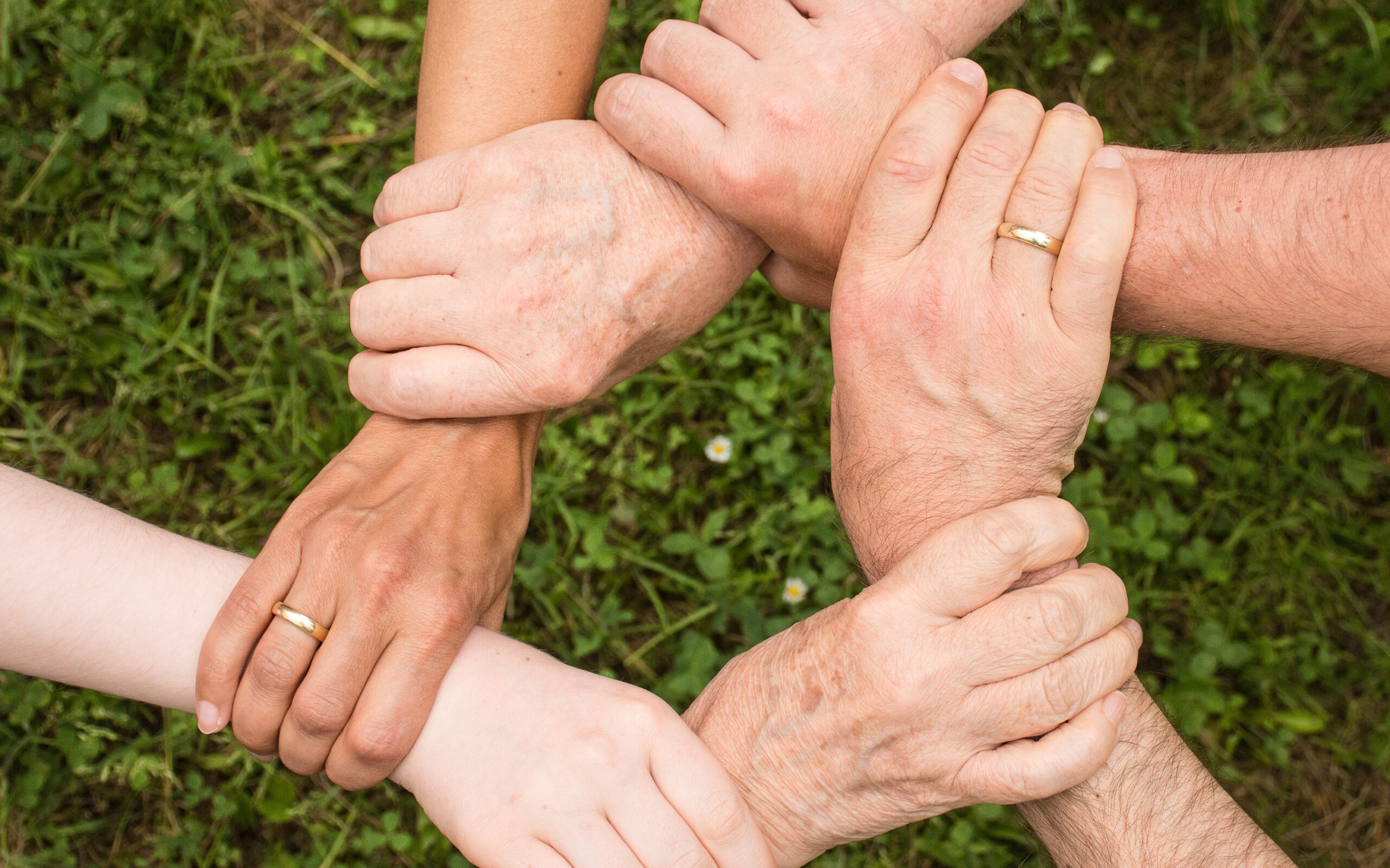 image showing hands holding hands, symbolizing support