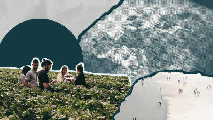 How We Support Social Innovation Through the European Social Fund